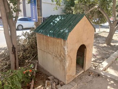 Ит уйи сатылады, керек адамлар болса хабарласын