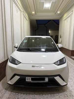 BYD seagull full NAXT yoki ARENDA