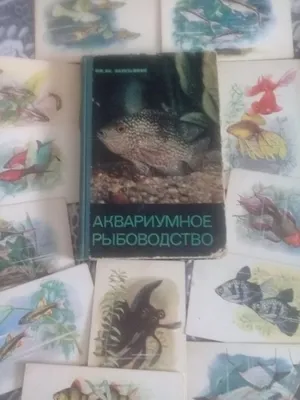 Справочник по аквариумному рыболовству