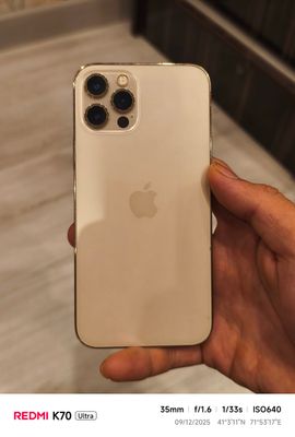 iphone 12 pro