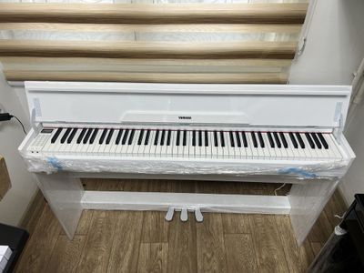 Piyanina elektronni tashkent optm