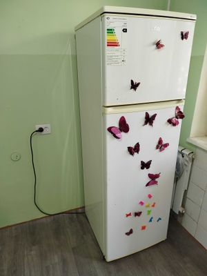 Artel Holadilnigi sotiladi