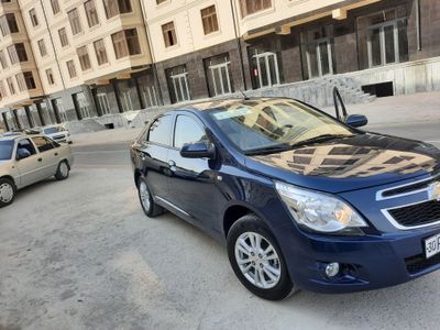 сурочна собалт сотилади