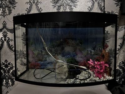 Akvarium 50 litrlik