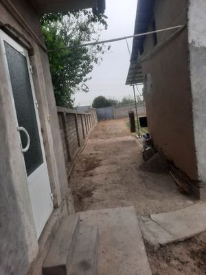 Uchastka Sotladi Zangiotada