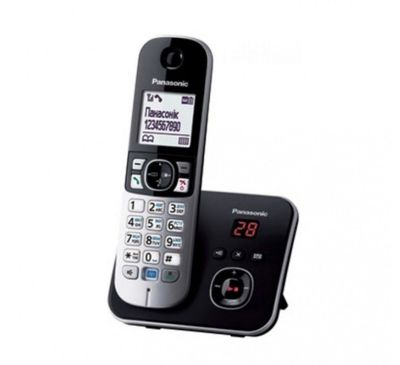 Стационарный телефон Panasonic KX-TG6811 UA
