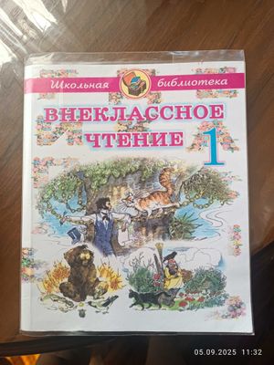 Внеклассное чтение