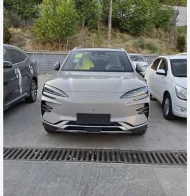 BYD Chempion smart nardagrey