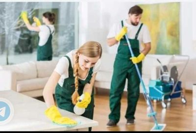 Progress Cleaning-House
