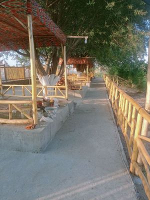 Baliqxona (готовый бизнесс)