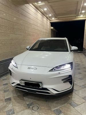 Byd Champion 605км 27800$