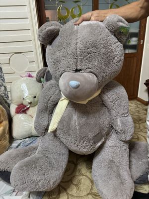 Teddy 1,10sm yangiday