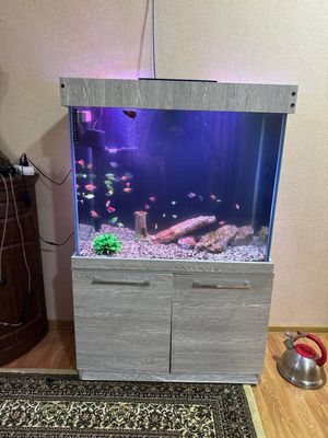 Akvarium sotiladi 250 litr