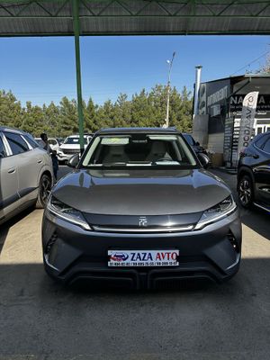 BYD Yuan UP фул 405 талик