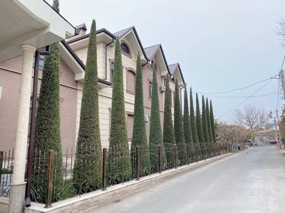 Archa kesish va dorilash