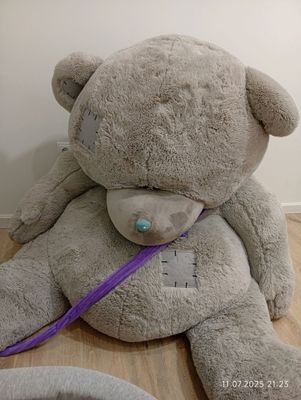 teddiy mishka eng kottasi