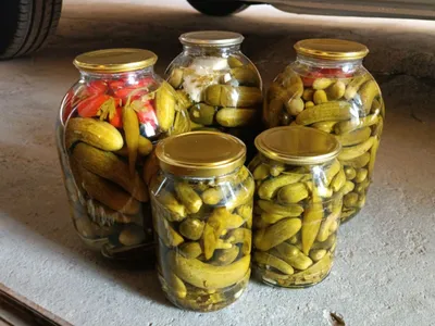 Tuzlama bodrin 1litrli 3litrli