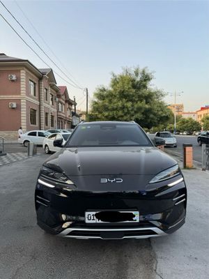 Byd champion smart 2025