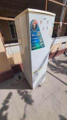 Artel haladelnig