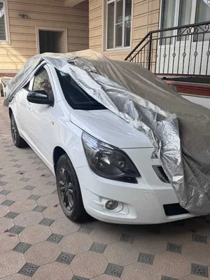 Cobalt Midnight yangi maslo