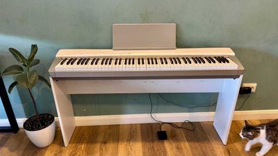 Красивое цифровое пианино Casio Privia PX-130