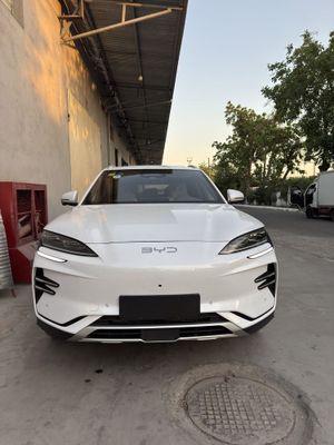 BYD Chempion.