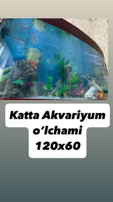 Katta akvariyum 25ta baliqlari bilan sotiladi