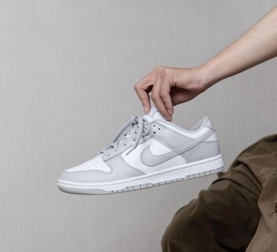 Nike sb Dunk x low