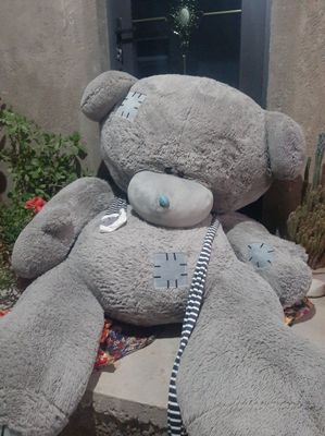 Teddy ayiq sotiladi