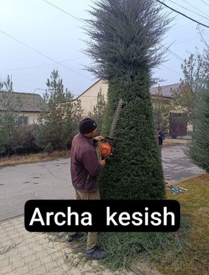 Archa kesish xizmat