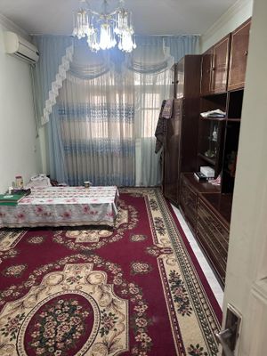 Ijaraga 3 ta qiz olinadi