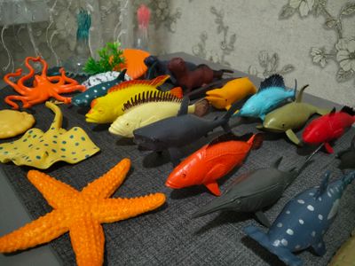 Коллекция морских животных для детей