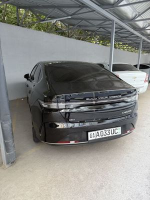 BYD Chazor 4-pozitsiyasi full