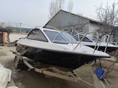 phoneix 530 ht вместе с мотором 115