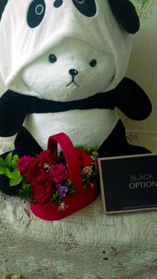 Panda ayiqcha