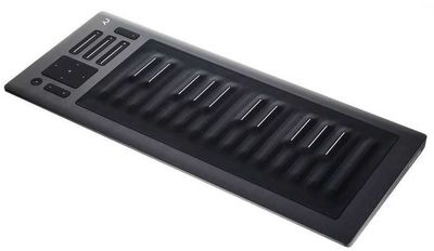 ROLI 25 seaboard RISE, MIDI клавиатура, электронное пианино