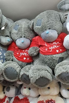 Teddy ayiglarmiz