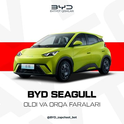 BYD Seagull old fara (Передний фара)