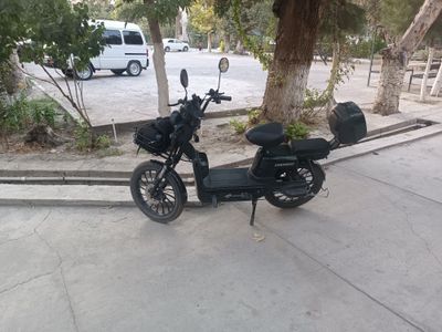 Drongo Skuter sotiladi