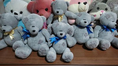 teddy