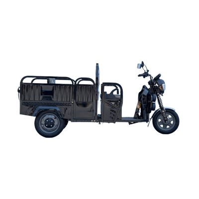 Uch g‘ildirakli elektroskuter Drongo FDR-1200 Pro