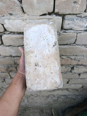 николай гишт бор  назарбек мустакиллик шохкучаси