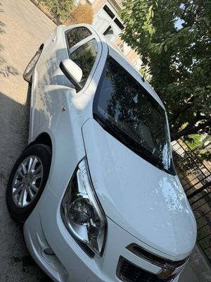Srochna Cobalt 2022