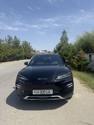 BYD CHAMPION electro car