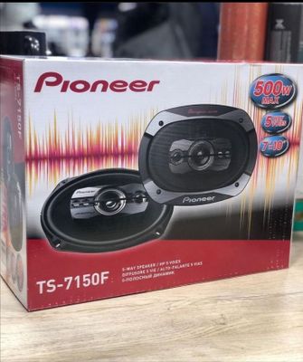 Pioneer 500w chempion seria