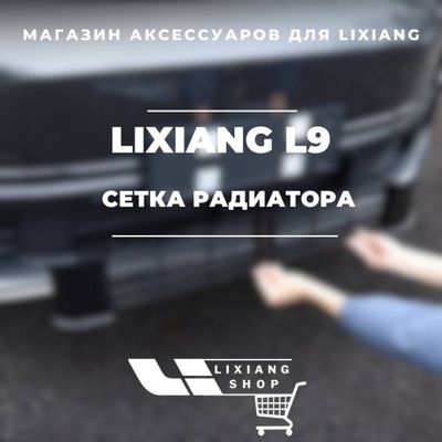 Сетка радиатора для Li9 от «LixiangShop»