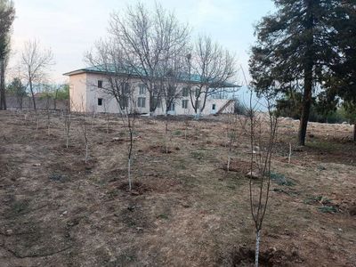 Нотурар бино 1 га якин сотилади