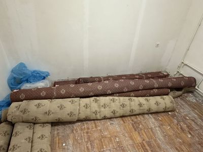 Гилам 7 та бор ювлган тозза сотилади