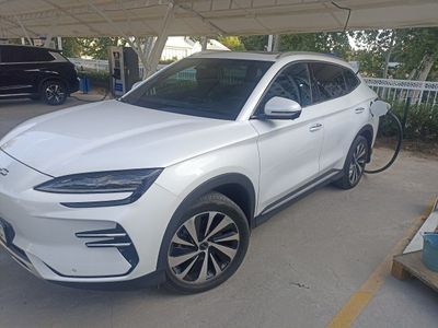 BYD champion 520km 2024 afitsalniy dillerdan olingan