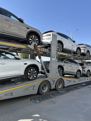 Byd chempion smart 605